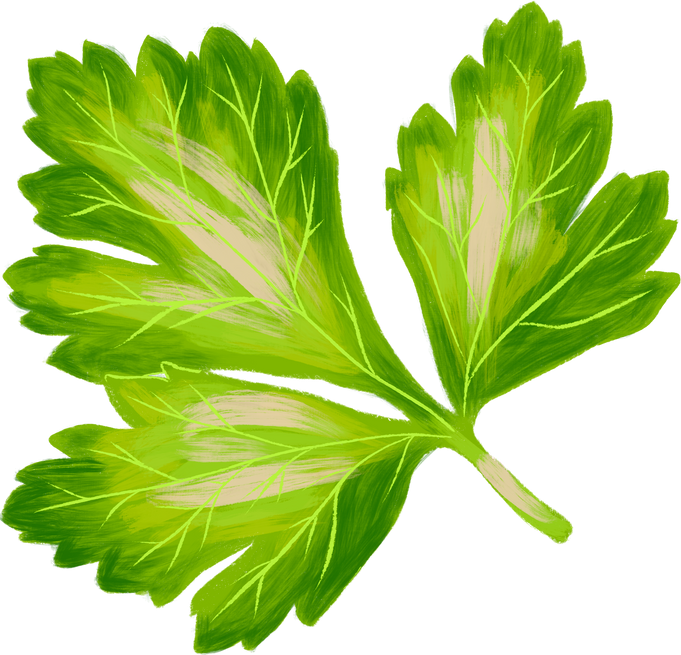 Painterly Parsley