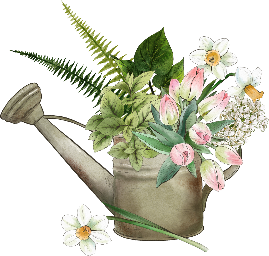 Watering Pot with Flowers, Gardening Composition