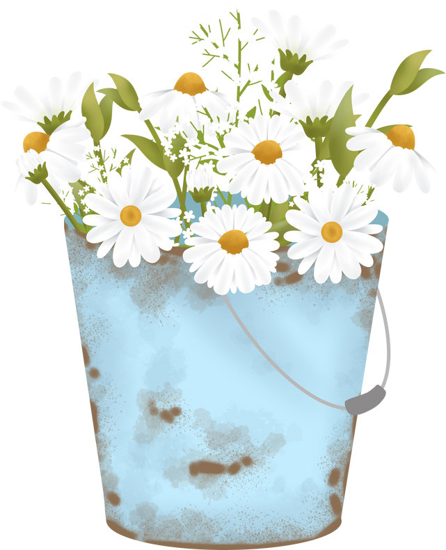 Daisy flower watering can Clipart