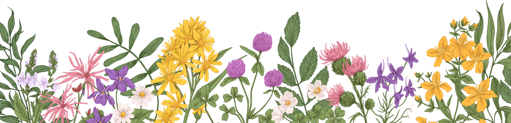 Flowers and Leaves Banner