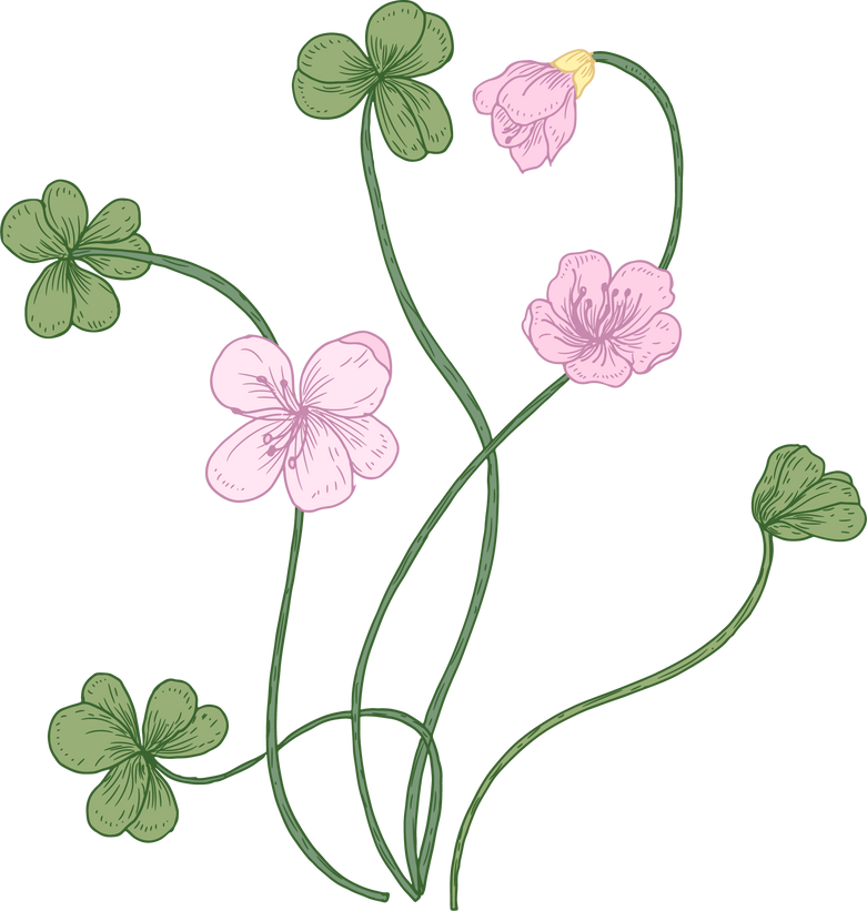 Wood Sorrel Flowers 